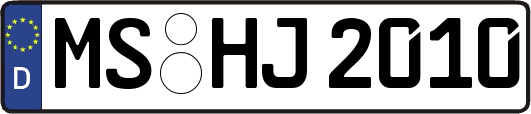 MS-HJ2010