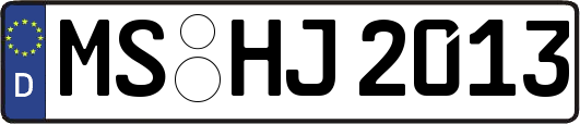 MS-HJ2013