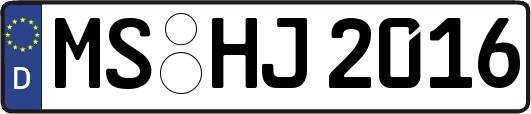MS-HJ2016