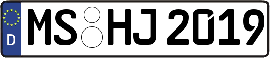 MS-HJ2019