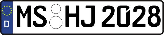 MS-HJ2028