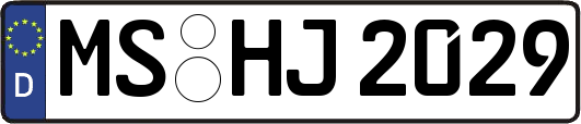 MS-HJ2029