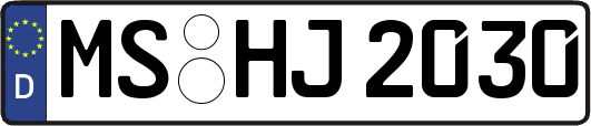 MS-HJ2030