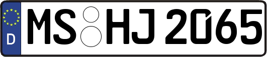 MS-HJ2065