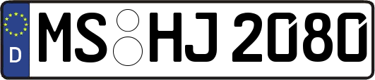 MS-HJ2080