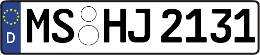 MS-HJ2131