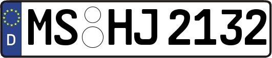 MS-HJ2132