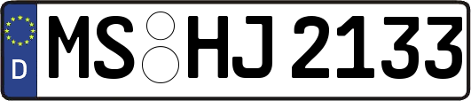 MS-HJ2133
