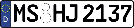 MS-HJ2137