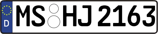 MS-HJ2163