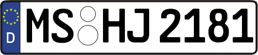 MS-HJ2181