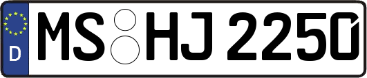 MS-HJ2250