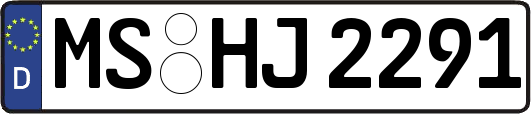 MS-HJ2291