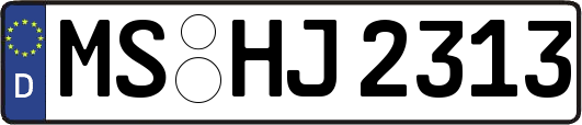 MS-HJ2313