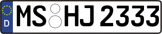 MS-HJ2333