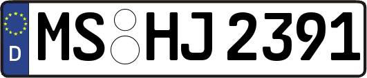 MS-HJ2391