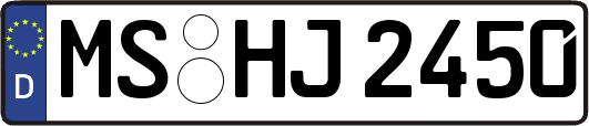 MS-HJ2450