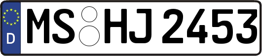MS-HJ2453