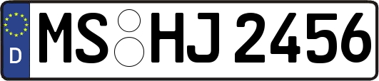 MS-HJ2456