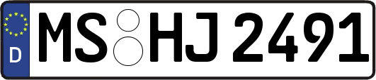 MS-HJ2491