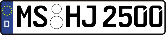 MS-HJ2500