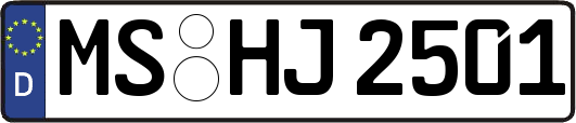 MS-HJ2501