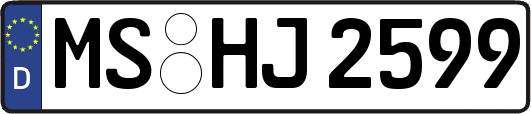 MS-HJ2599