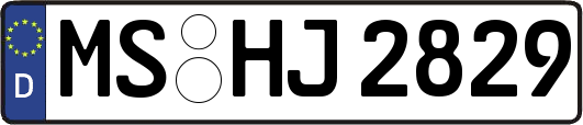 MS-HJ2829