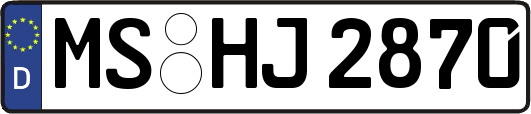 MS-HJ2870