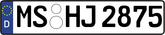 MS-HJ2875