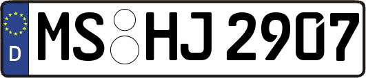 MS-HJ2907