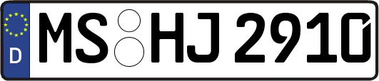 MS-HJ2910