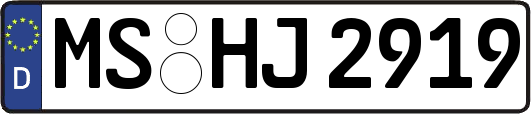 MS-HJ2919