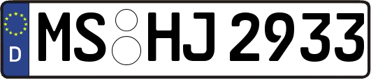 MS-HJ2933