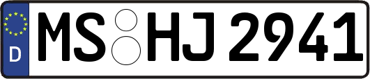 MS-HJ2941