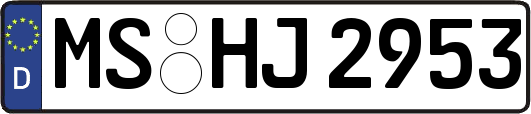 MS-HJ2953