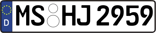 MS-HJ2959