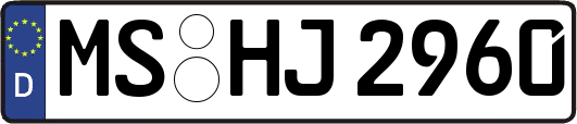 MS-HJ2960