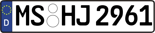 MS-HJ2961