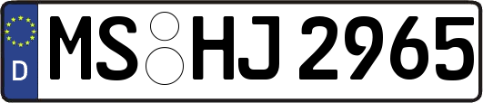 MS-HJ2965