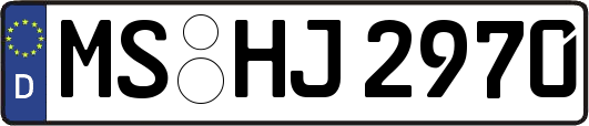 MS-HJ2970