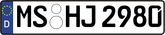 MS-HJ2980