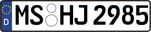 MS-HJ2985