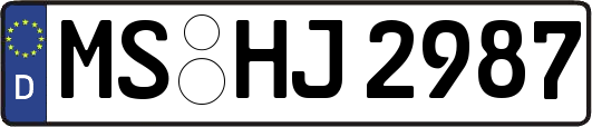 MS-HJ2987