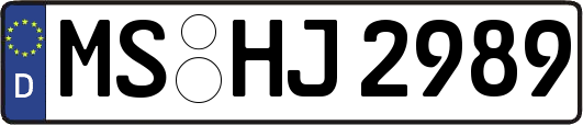 MS-HJ2989