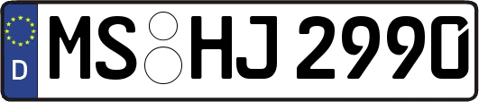 MS-HJ2990