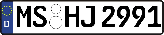 MS-HJ2991