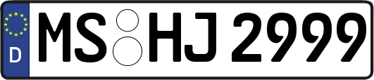 MS-HJ2999