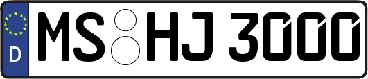 MS-HJ3000