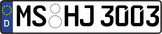 MS-HJ3003